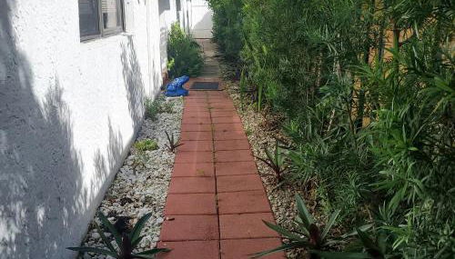 Tropical Hideaway! - Foto 2