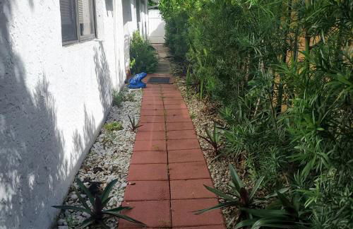 Tropical Hideaway! - Foto 2