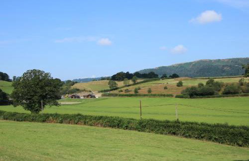 Meadow View - Foto 25