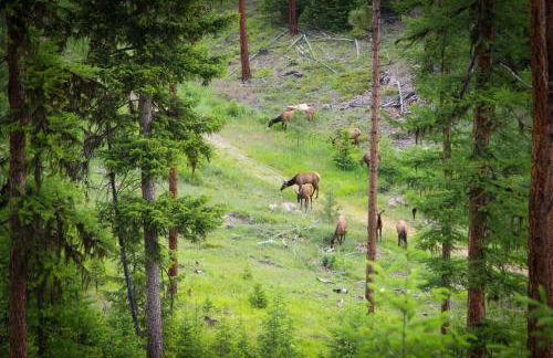 The Ranch Hand Cabin at The Hohnstead - Foto 67
