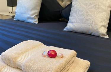 Panorama-Paradies im Rheintal - Foto 9