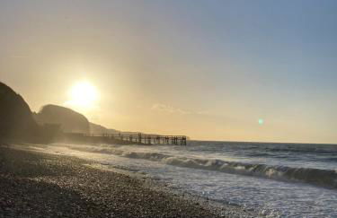 Gîte le Beluga - proche mer - Veules-les-Roses - Foto 23