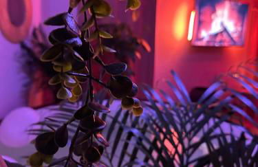 jacuzzi exotique cinéma - Foto 14