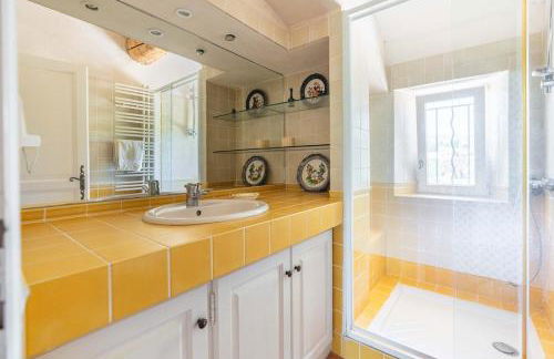 Mas provençal vue sur les vignes & Sainte-Victoire - Foto 4