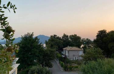 Royal's Studios - Photo 37