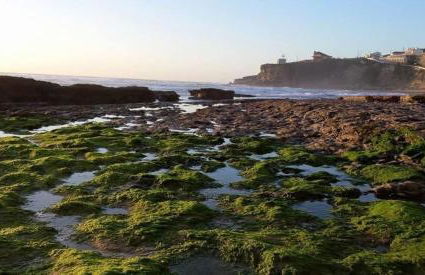 Casa Jacintos - Sintra, Magoito - Photo 17