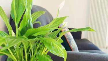 Luxury Apartment at Edinburgh - Foto 5