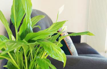 Luxury Apartment at Edinburgh - Photo 5