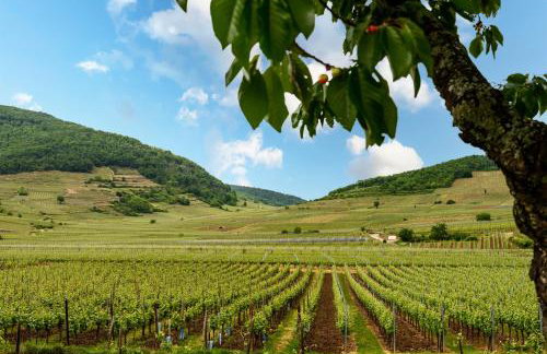 Gite Au Lalli - Photo 30