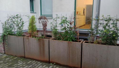 Ferienwohnungen in der Kunstgalerie - Foto 5, Garden view