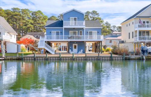 Coastal Crab - Foto 1