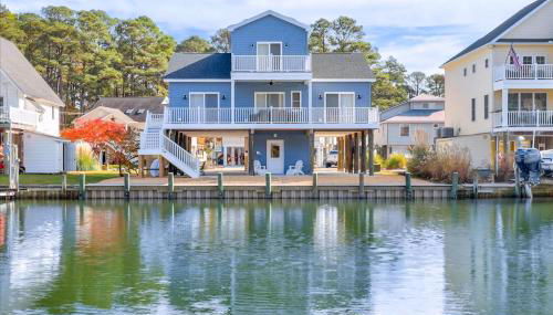 Coastal Crab - Foto 1