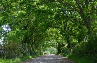 The Hideaway-South Downs National Park - Foto 8