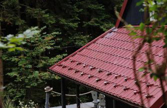 Piwniczna 187 - Vintage House - Foto 32