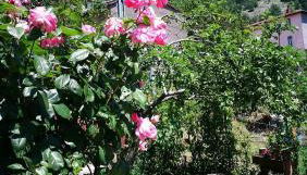 Agriturismo dal nonno Merico - Foto 2