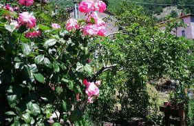 Agriturismo dal nonno Merico - Foto 2