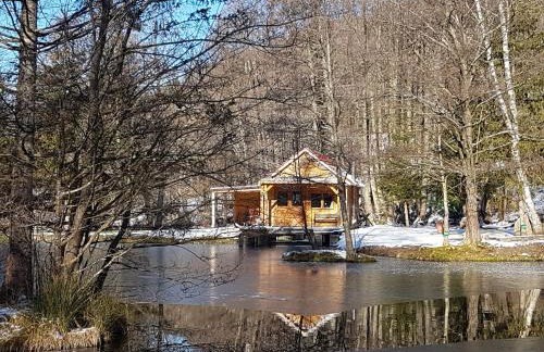 Insolite Chalet de pêche Sérénité - Bien Etre - Foto 36