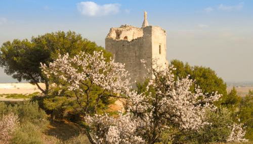 La maison du paradis - Foto 3