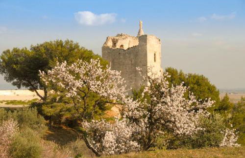 La maison du paradis - Foto 3