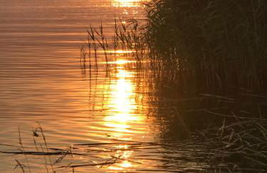 Ferienwohnung Goa auf Usedom - Foto 10