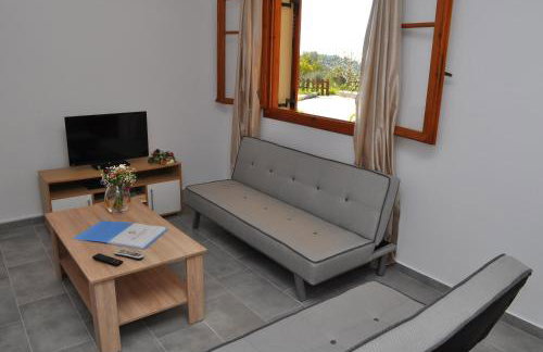 Polymnia Apartments Lassi - Photo 22