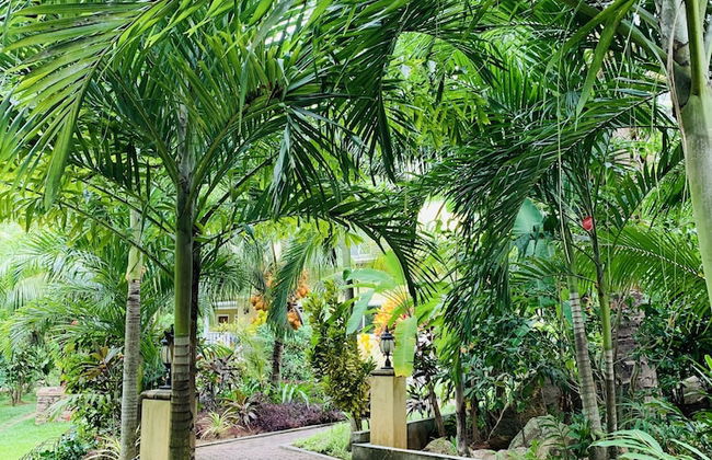 OSoleil Guesthouse - Foto 47