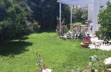 Aloe Apartment in Epidaurus - Photo 10