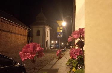 Apartament typu studio w Kamienicy - Foto 29