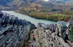 Dillons Lakeside Lodge - Photo 19