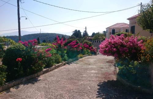 Traditional House - Foto 42