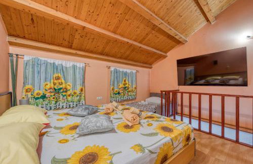 App Bonić - Foto 20