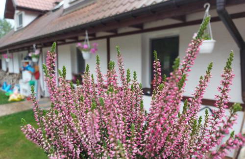 Cztery Pory Warmii Pluski pokoje do wynajęcia - Foto 3