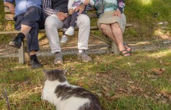 Agriturismo La Coccinella - Foto 54