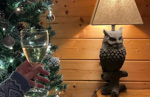 Hollybush Lodges - Foto 78