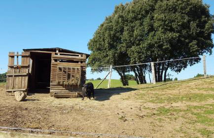 Appartement l'Archipel - Vue mer exceptionnelle et bassins aquatiques du 29 avril au 15 sept - Foto 52
