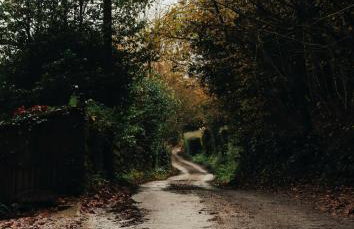 The Rapids Cottage-Secret woodland cottage with outdoor 4 person jetted bath - Foto 29