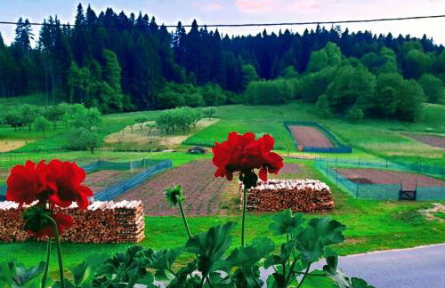 Holiday Home Lino - Foto 25