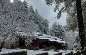 Konstantina 2 - Foto 38