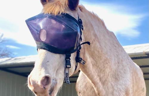 Peaceful Ranch Overlooking Mustangs with Full Kitchen & Fireplace - Foto 23