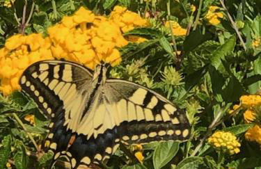 Luxury Home I LENTISCHI - Foto 54