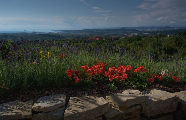 Pool House Ancka - Foto 39