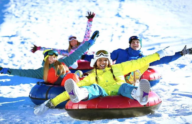 7 Room Saddlebrook Golf SPA Villa 5BR 4BA - Photo 59