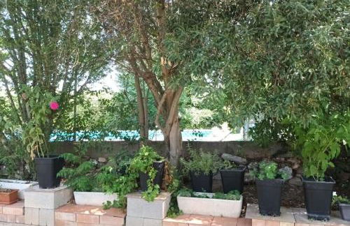 Finca Marina Turismo Rural - Foto 65