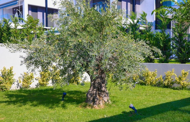 Lavinia Home in Nikiti - Foto 18