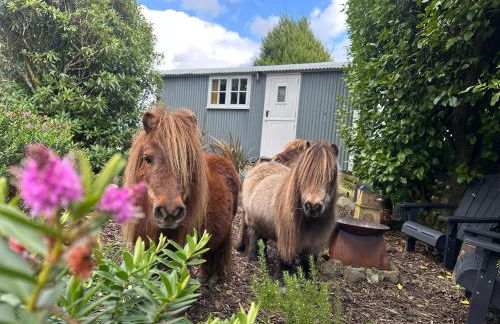 Miners Hut - Foto 19