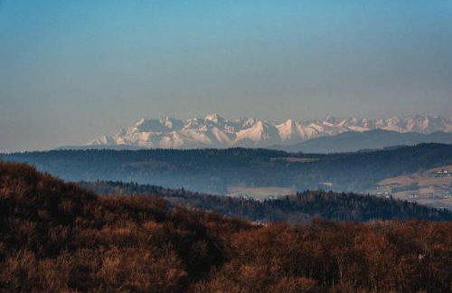 The Lake House - dom nad samym Jeziorem Rożnowskim - Foto 59