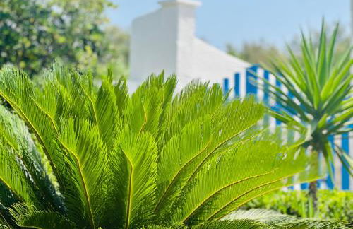 Casa Loca del mar - Foto 1