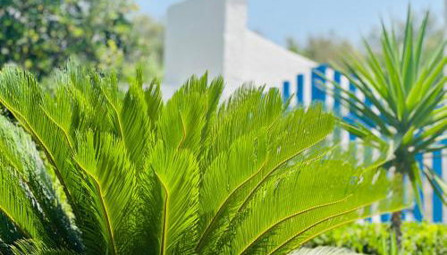 Casa Loca del mar - Foto 1