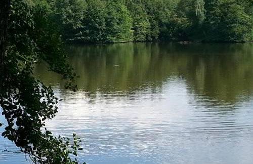 Gite des étangs de Saint Bale - Foto 45