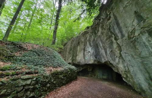 Charming Holiday Residence in the Harz With Wonderful Excursion Opportunities - Foto 118